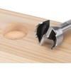 Trend Saw Tooth Forstner Bit, 3/8 Inch Diameter, Excellent Chip