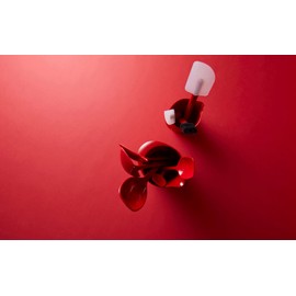 Rosti Classic Pastry Brush 7" x 1.5" Red