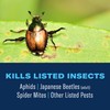 BioAdvanced 3-in-1 Insect, Disease & Plant Mite Control, Ready-to-Use, 24