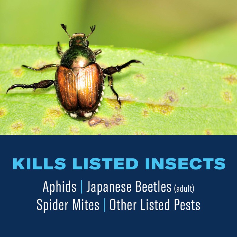 BioAdvanced 3-in-1 Insect, Disease & Plant Mite Control, Ready-to-Use, 24