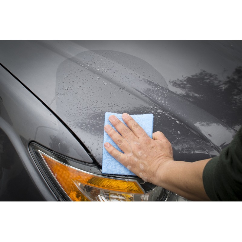 Bugs Out Bug Removing Sponge (6 Pack) with Concentrated Car