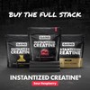 Gains in Bulk Instantized Creatine Monohydrate for Women and Men,