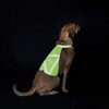 Hunter Reflective Dog Vest, l