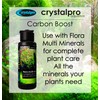 Carbon Boost - Liquid Carbon Source for Aquarium Plants -