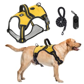 YINTON Pechera para Perro Grande Mediano Chico con Correa 1.5m, Transportadora para Perro para Caminar Reflectante, Arnes para Viajar Entrenar Perros Accesorios (Amarillo,M)
