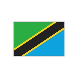 Womaha 30 Sheets Tanzania Flag Temporary Tattoos for Kids Adults Fans Fake Face Tattoo Stickers