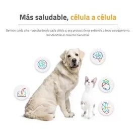 Geriox Suplemento Vitaminico Para Perro Y Gato Senior 30 Tab