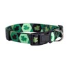 Native Pup St Patricks Dog Collar- Saint Patrick Green Shamrock