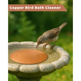 JWShang Bird Bath Copper Disk, Four-Point Support 99.99% Pure Copper Bird Bath Cleaner to Reduces Cleaning Frequency, Replacement Accessories for Outdoor Garden Birdbath Bowl (4Pcs-4in)