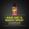 Raid Ant & Roach Killer 26, Fragrance Free Bug Killer