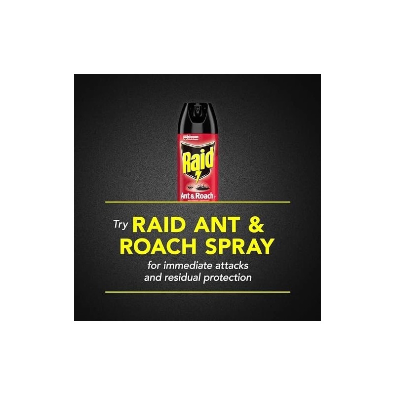 Raid Ant & Roach Killer 26, Fragrance Free Bug Killer