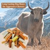 Prime Pet Food Yak Cheese Himalayan Dog Chews for Aggressive