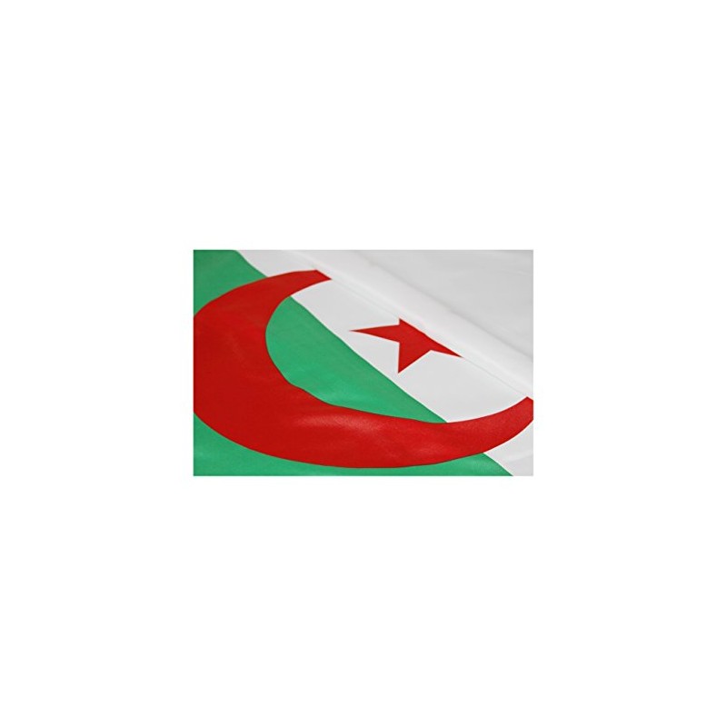 Algeria National Flag (Pack of 50), 3' x 5'
