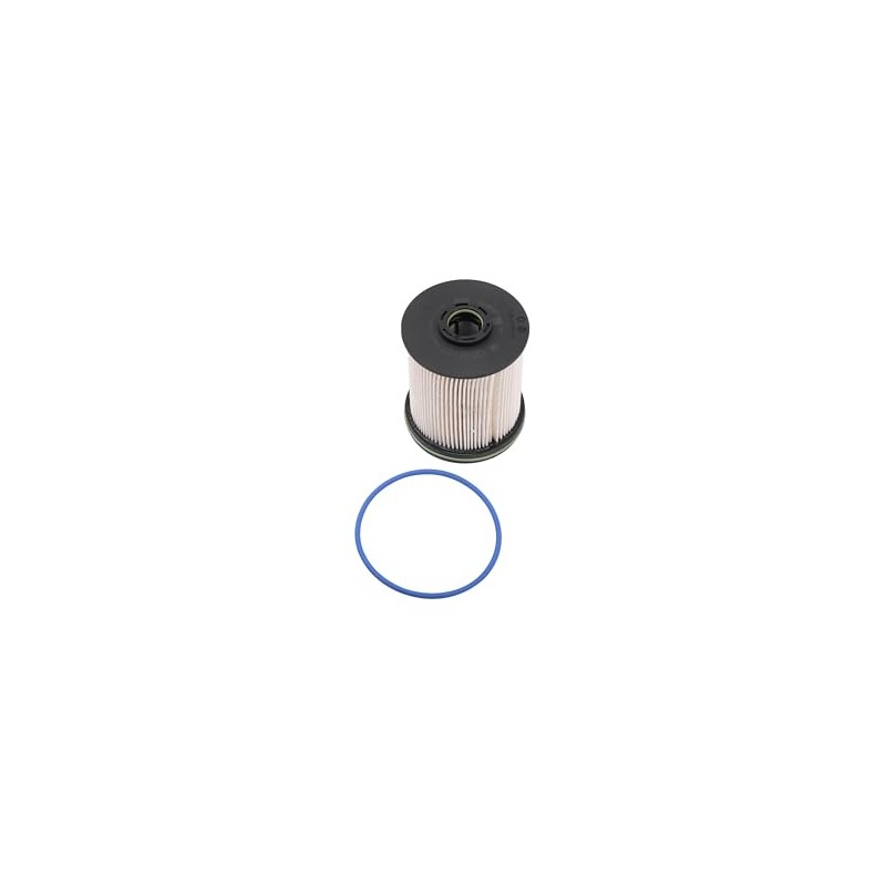 GM Genuine Parts TP1015 (13539108) Fuel Filter Kit with Seals