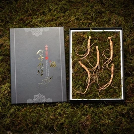 Sagudam [고급선물포장]심봤다 삼 산양산삼 산양삼 장뇌삼 선물세트 5뿌리 [Premium Gift Packaging] Simbatda Three Mountain Ginseng Gift Set with 5 Roots