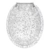 Ginsey Home Solutions Elongated Resin Toilet Seat, Silver Foil