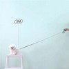 Retractable and Adjustable Dog Lead | Strong Automatic Leader, Contemporary
