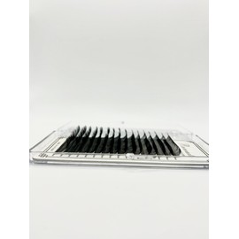 5D Premade Spikes | 880 Spikes | Use in Amine Lash, Wet Set Lash, Wispy Lash Extension | Mix 8 sizes from 9-16mm | C, CC, D & M curl | For professional eyelash extension (D curl)
