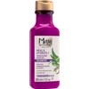 Shampoo Maui Moisture Heal & Hydrate + Shea Butter 385