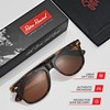 Retro Rewind Polarized Sunglasses for Men and Women - UV