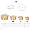 nutmanel Brass Plug, 1 Inch Male Thread, Brass Blanking Plug