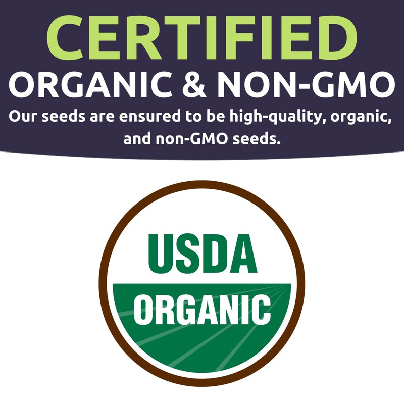 Catnip Seeds – Two Seed Packets! – Over 800 Open