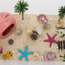 8 Pcs Hermit Crab Ceramic Water Bowl, Tarantula Mini Food Dish for Hermit Crab Tarantula Spider Millipede Tiny Bugs