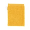 Sterntaler Wash Mitt Ben the Bear, Size: 21 x 15