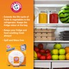 Arm & Hammer Fridge Fresh Refrigerator Air Filter