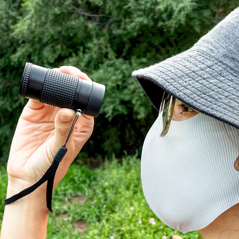 Close-up Monocular Designed for Low Vision Users who are Visually