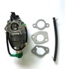 HOQO Carburetor Carb fit for DuroStar DS4000WGE DS10000E 16HP Generator