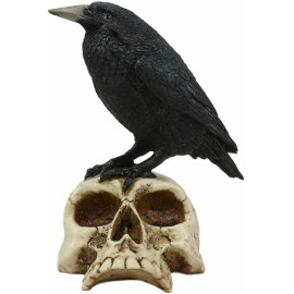 Ebros Gothic Raven Perching On Skull Statue 7.25" High Crow Scavenger Figurine