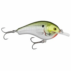 Flat Balsa B2-2 1/2"