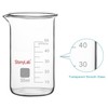 stonylab Glass Beaker, 1-Pack Borosilicate Glass Graduated Tall Beaker with