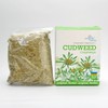 CUDWEED, GNAPHALIUM ULIGINOSUM L | Original Herbs Herbal Tea –
