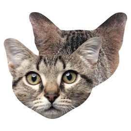 Pikkii Microfibre Cloth - Microfibre Cloth (Cat | Cat)