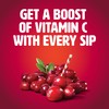 Tropicana Cranberry Juice Drink, 15.2 Ounce Bottle (Pack of 12)