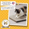HIDE & SCRATCH Cat Scratcher Pad Pack; Cat Scratch Pad