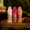 Sanctuary Spa Shower Burst Trio | Signature | Ruby Oud
