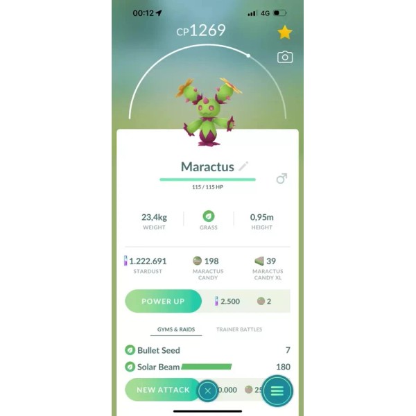 Pokémon Go - Shiny Maractus, Bouffalant, Sigilyph Go Tour -