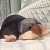 Liraziva Platypus Plush Platypus Stuffed Animal,Soft Platypus Toys Cute Platypus