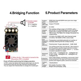 TPA3255 Mono Audio Amplifier Module, 600W Digital Amplifier Board with Heat Sink, Pure Rear Stage Amplifier Board for DIY Speakers