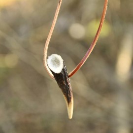 Aj Sanity Handmade Original Deer Stag Antler Leather Western Pendant Necklace