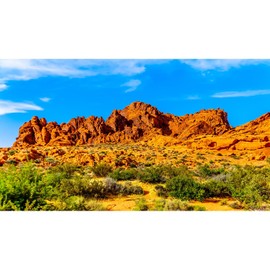 ZatiasMiller Reptile Habitat Background Colorful Red Sandstone Rock Formation Terrarium Background Blue Sky Gobi Desert Plants Aquarium Background Tank Wallpaper Decor Vinyl 30x12in