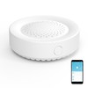 WiFi Siren Alarm: Smart Home Alarm, Wireless Burglar Alarm for