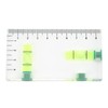 Two Dimensional Horizontal Bubble Level Portable Two Way Integrated Level