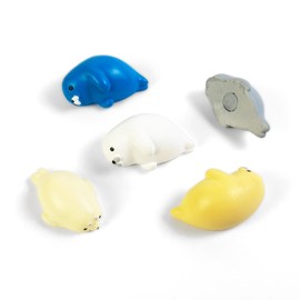 Kraftheld Set of 5 Robby Decorative Magnets, Seal Magnets, Colourful, Decorative, Colourful, Fridge Magnets in the Shape of Animals, Seal, Magnetic Decoration as a Gift
