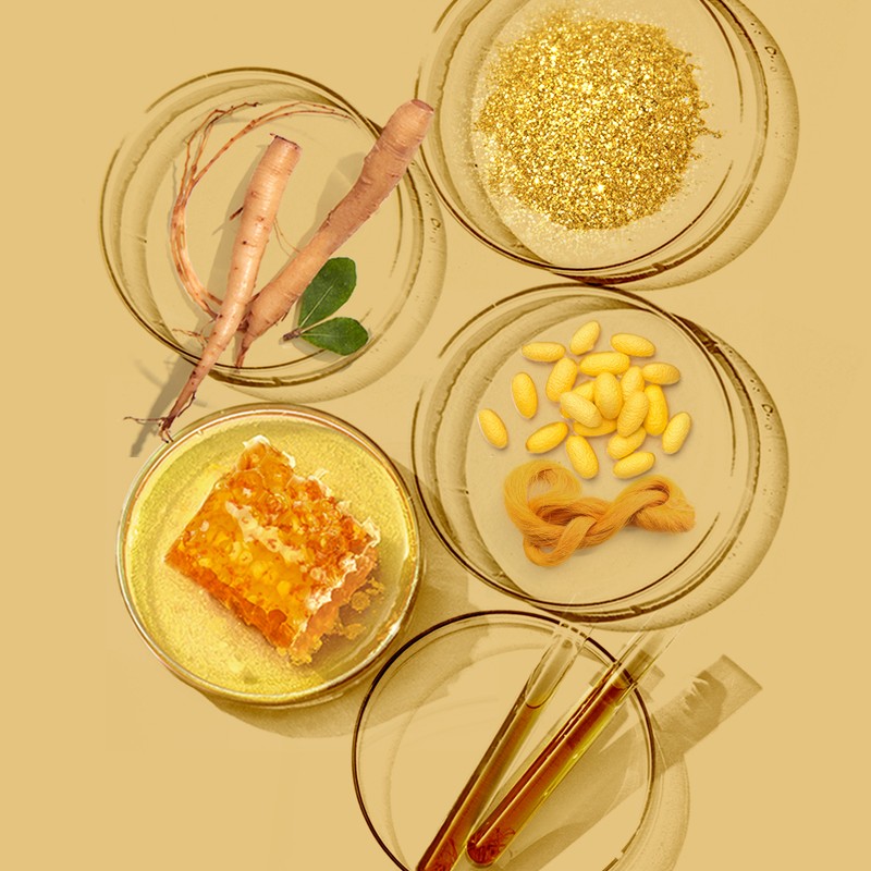 네이처리퍼블릭 Nature Republic Ginseng Royal Silk Essence