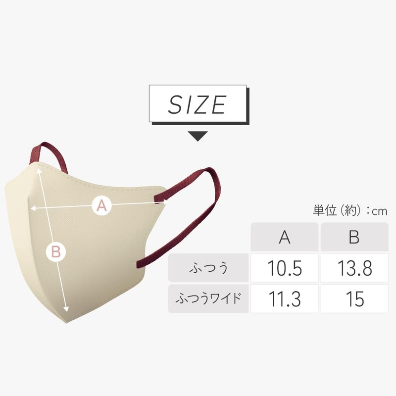 Iris Ohyama RN-FA10SPB Fashionable Mask 3D Regular Size, 10 Pieces,