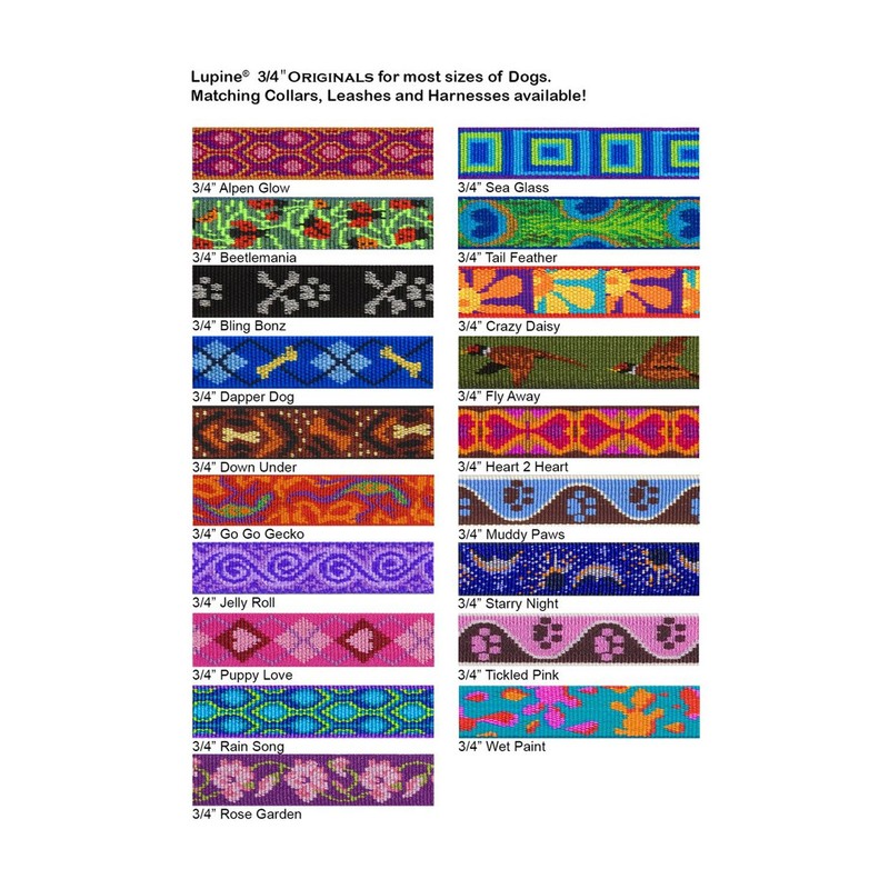 LupinePet Originals 3/4" Rose Garden 15-25" Adjustable Collar for Large
